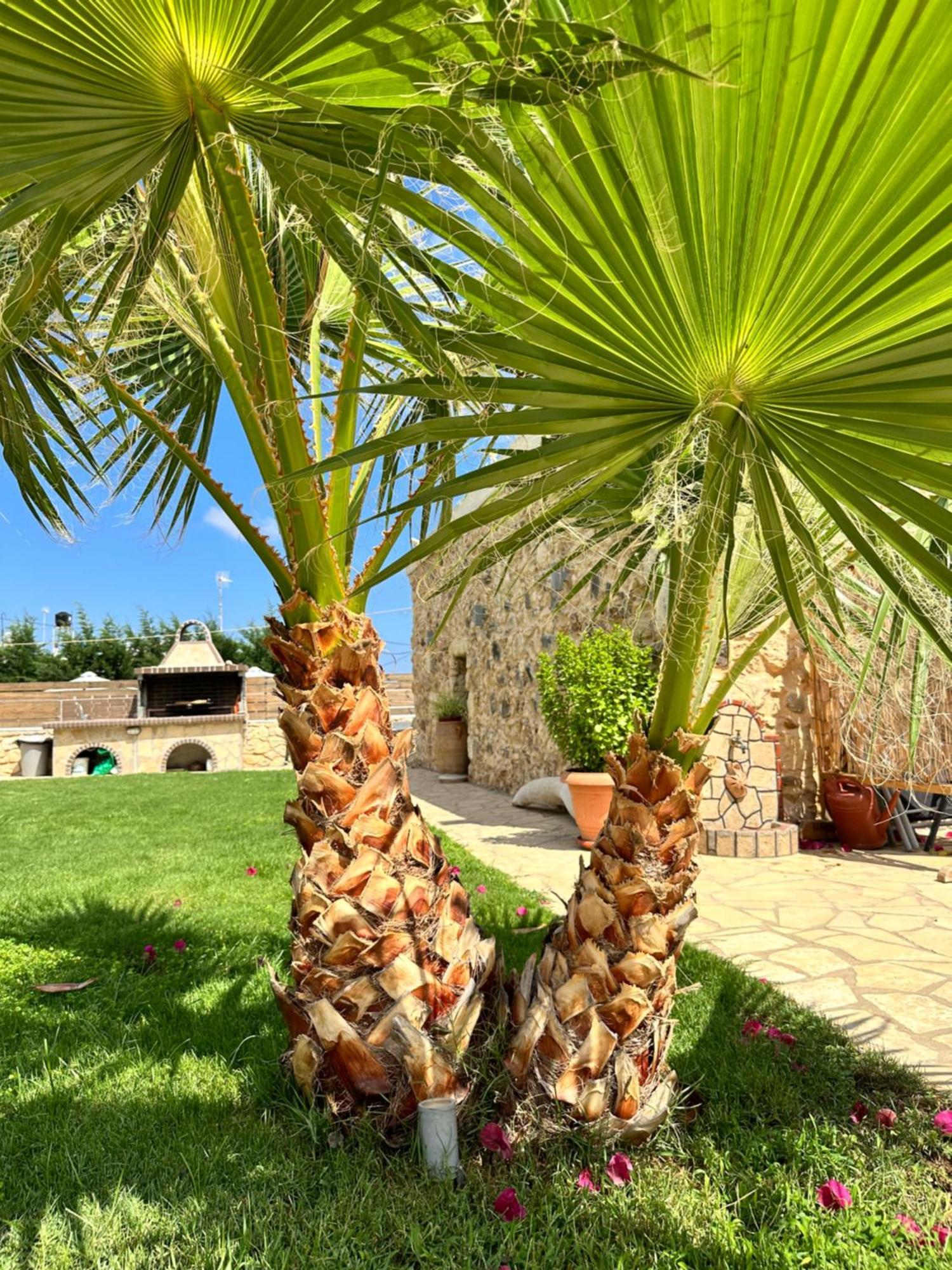 Bio Garden Stonehouse Villa Gonia Exterior photo